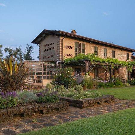 Olimagio Farm Stay With Animals And 25M Pool, Beach At Cycling Distance Pietrasanta Exterior foto