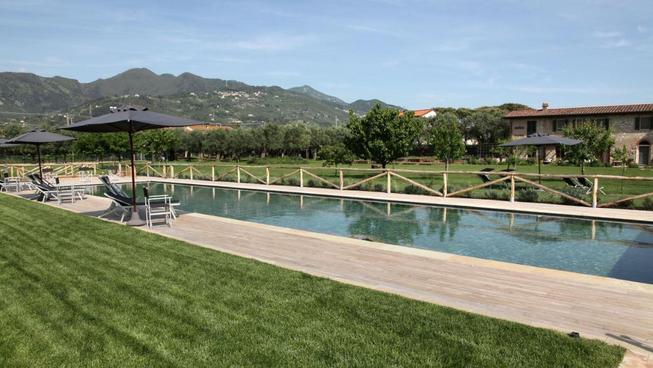 Olimagio Farm Stay With Animals And 25M Pool, Beach At Cycling Distance Pietrasanta Exterior foto