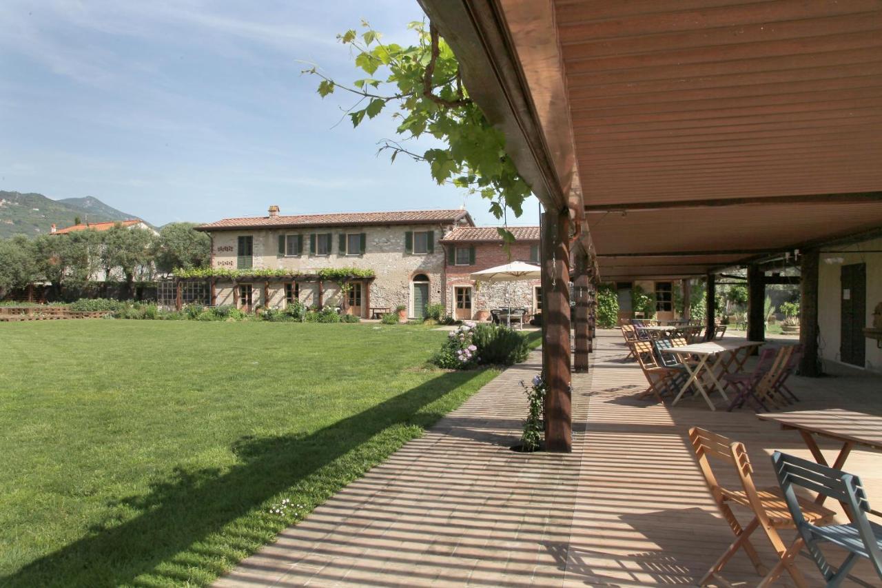 Olimagio Farm Stay With Animals And 25M Pool, Beach At Cycling Distance Pietrasanta Exterior foto