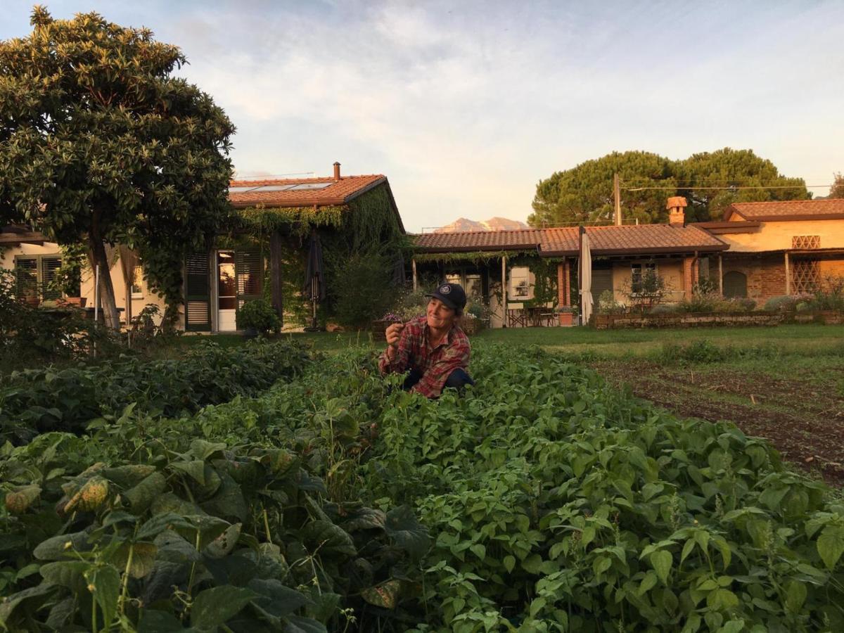 Olimagio Farm Stay With Animals And 25M Pool, Beach At Cycling Distance Pietrasanta Exterior foto