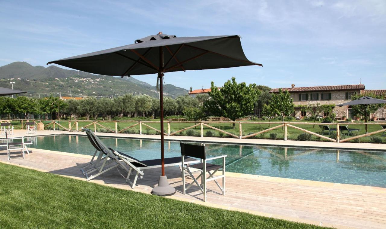 Olimagio Farm Stay With Animals And 25M Pool, Beach At Cycling Distance Pietrasanta Exterior foto