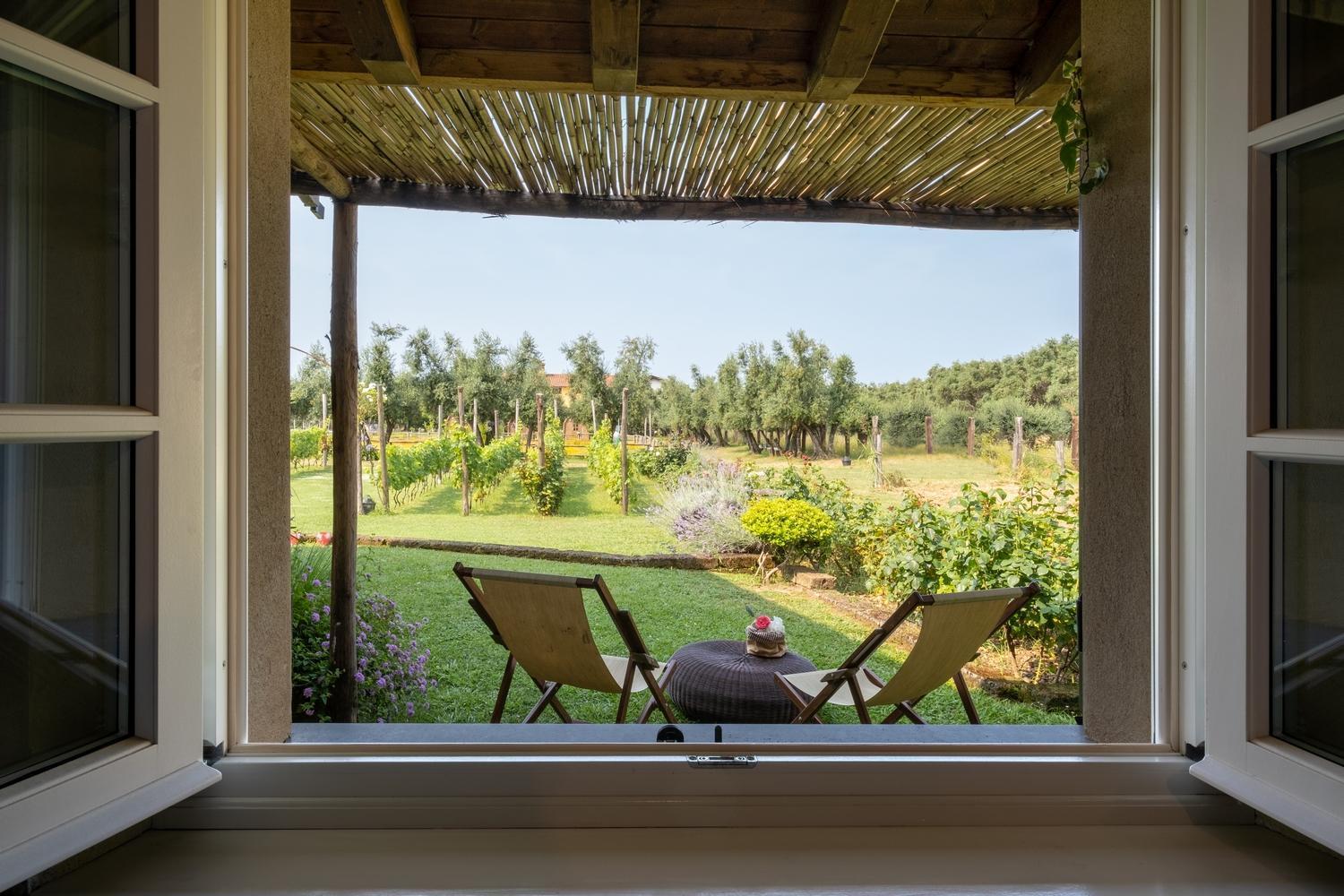 Olimagio Farm Stay With Animals And 25M Pool, Beach At Cycling Distance Pietrasanta Exterior foto