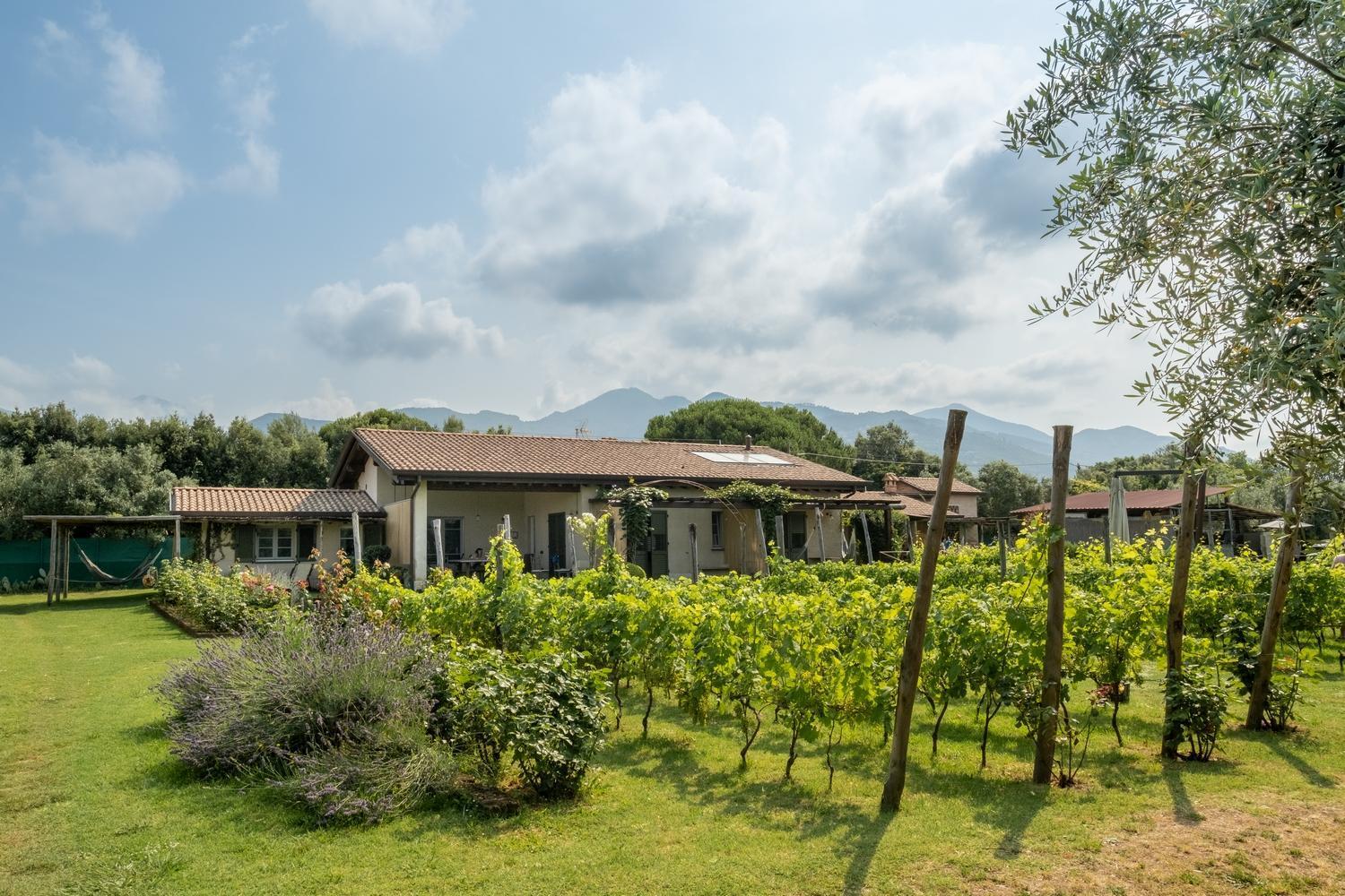 Olimagio Farm Stay With Animals And 25M Pool, Beach At Cycling Distance Pietrasanta Exterior foto