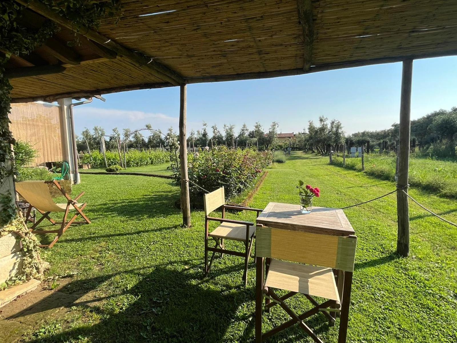 Olimagio Farm Stay With Animals And 25M Pool, Beach At Cycling Distance Pietrasanta Exterior foto